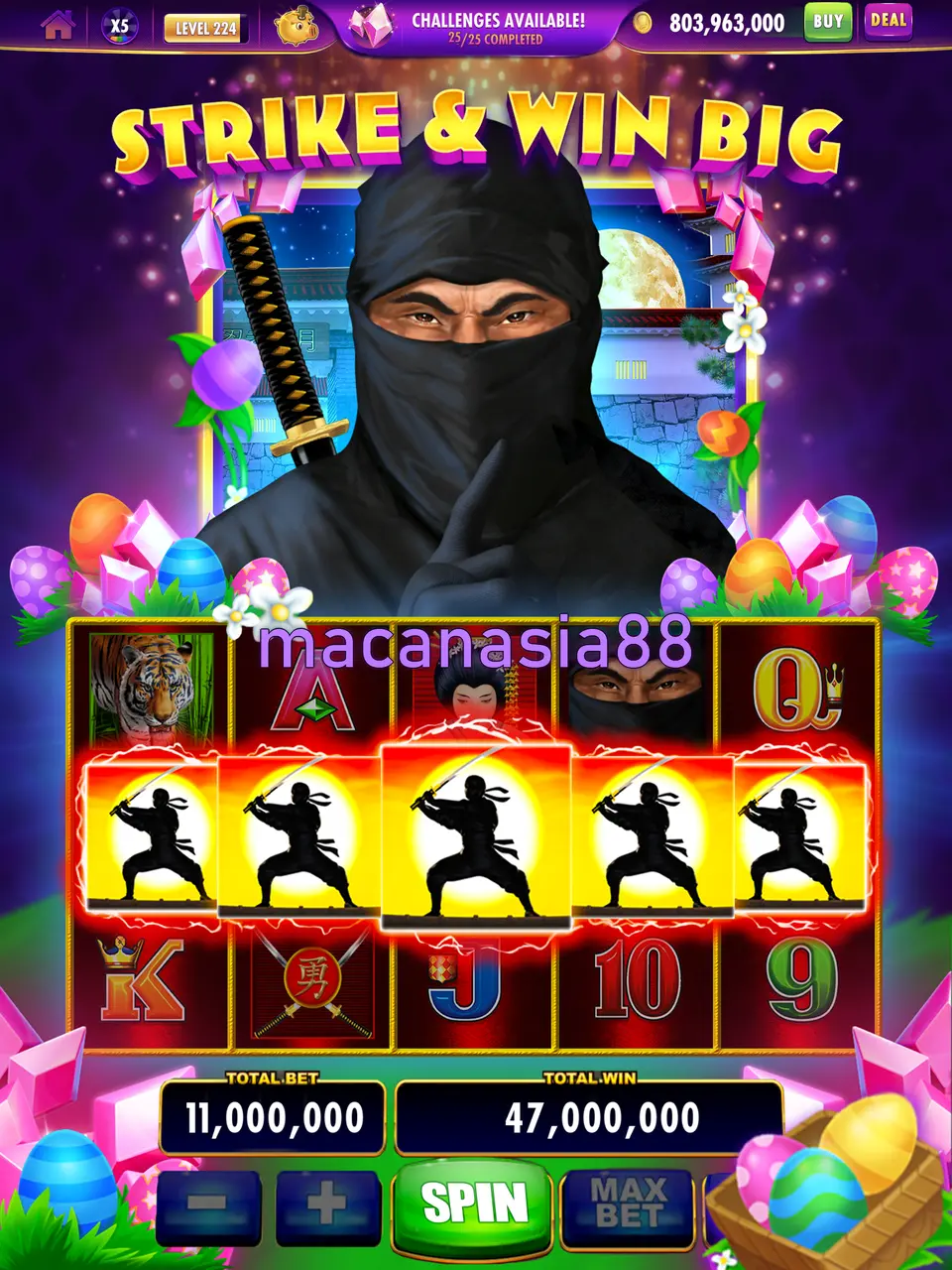 macanasia88 Masuk